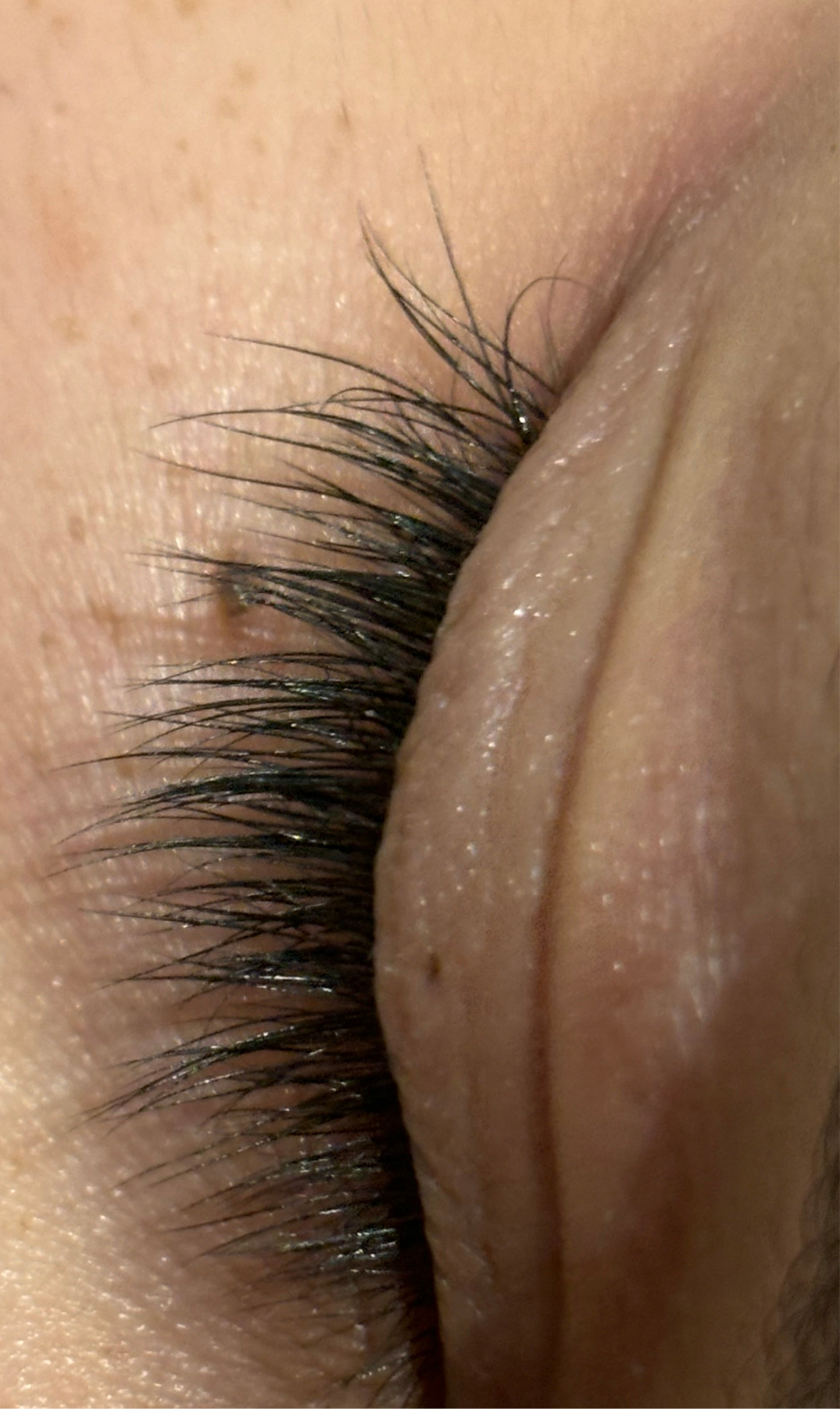 Eyelash serum for longer fuller lashes